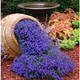 Illustration for article titled 20 Inspiring Flower Planters That Will Bring The Magic Into Your Garden